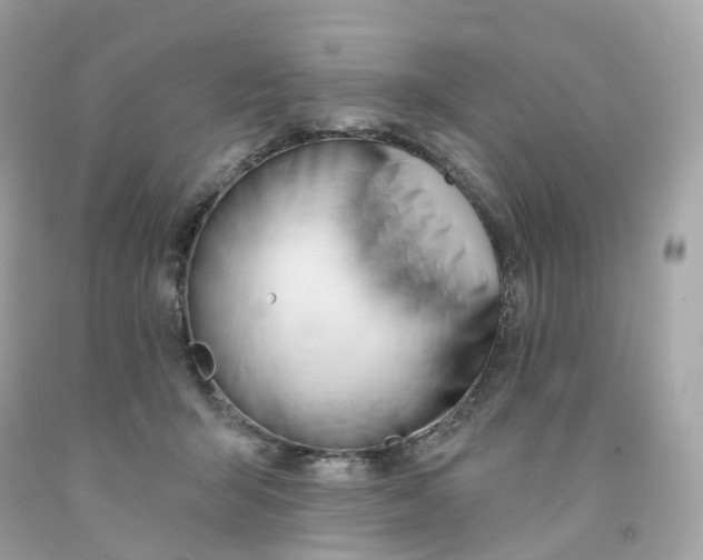 X0000091470415200709061822