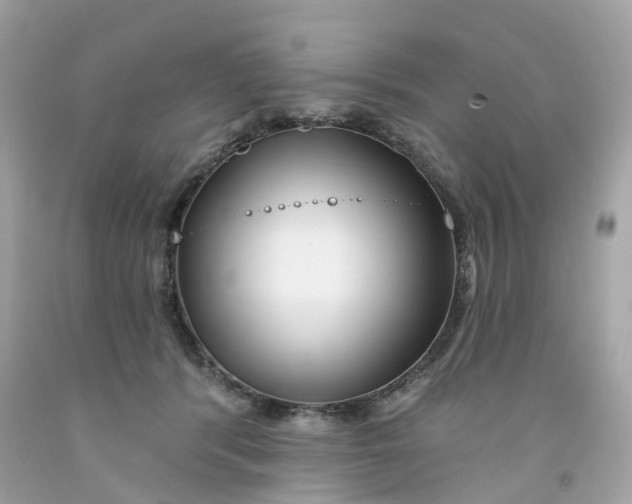 X0000091470416200709061822