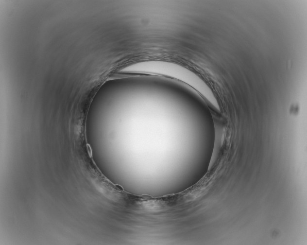 X0000091470417200709061822