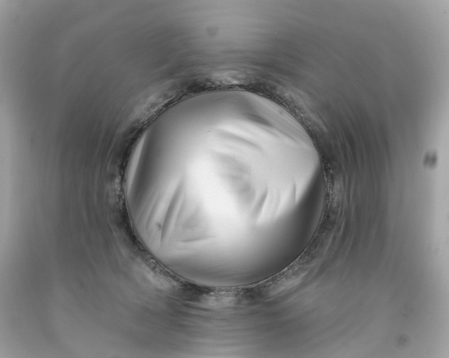 X0000091470418200709061822