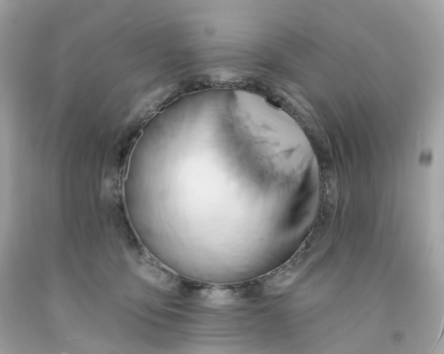 X0000091470419200709061822