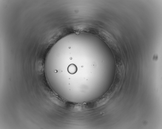 X0000091470420200709061822