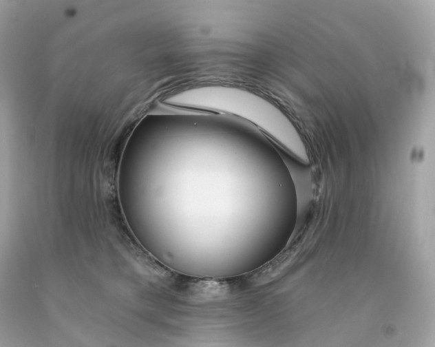 X0000091470421200709061822