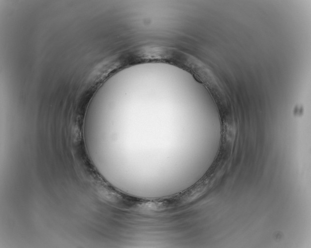 X0000091470422200709061822