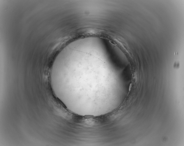 X0000091470423200709061822