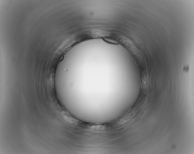 X0000091470426200709061822