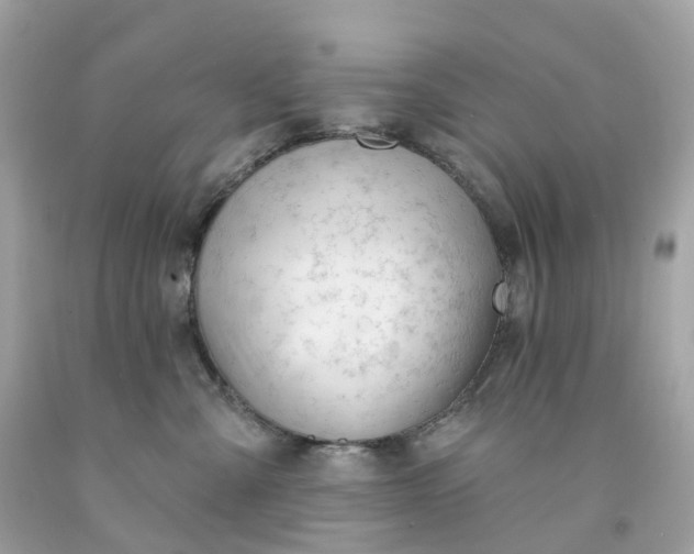 X0000091470427200709061822