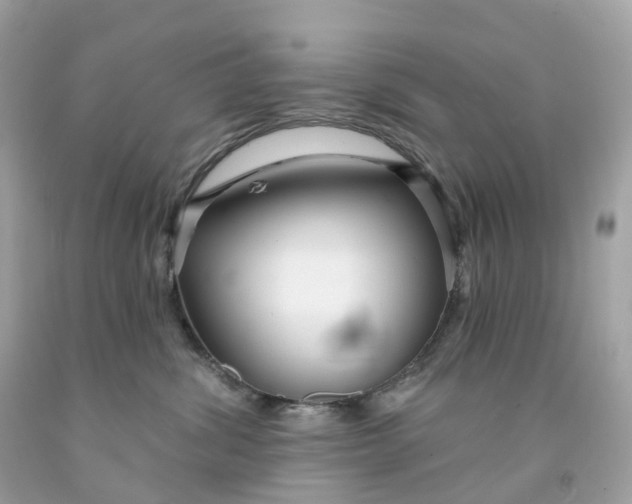 X0000091470428200709061822