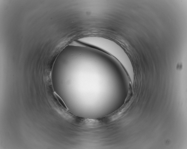 X0000091470429200709061822