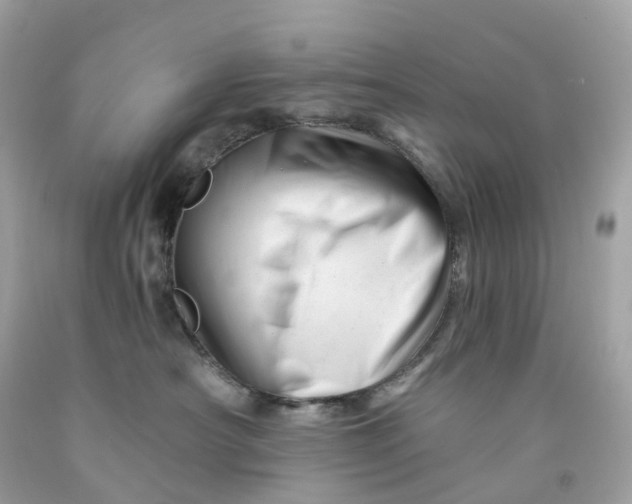 X0000091470430200709061822