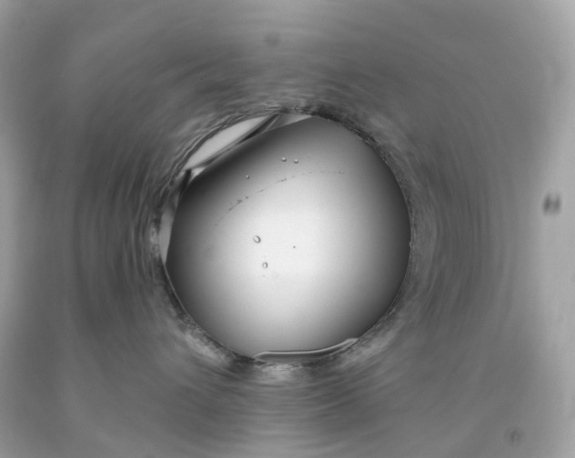 X0000091470432200709061822