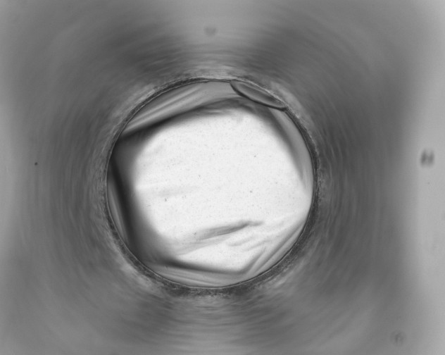 X0000091470433200709061821