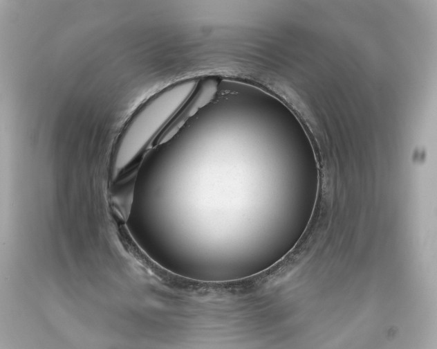 X0000091470434200709061821