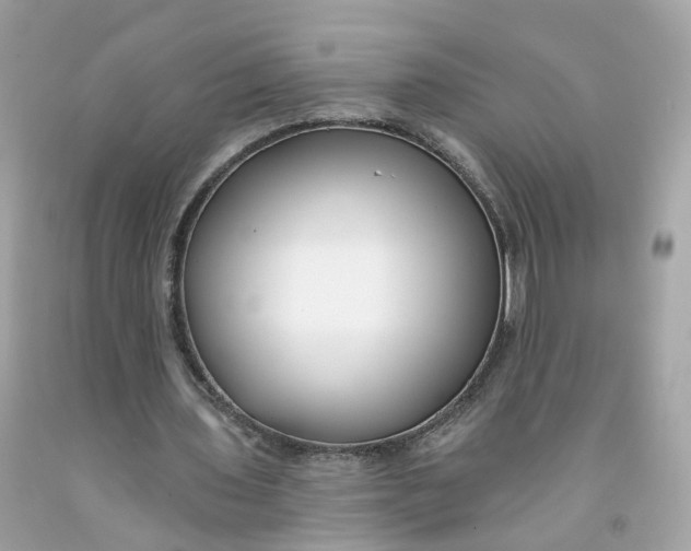 X0000091470435200709061821