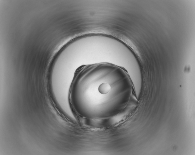 X0000091470436200709061821