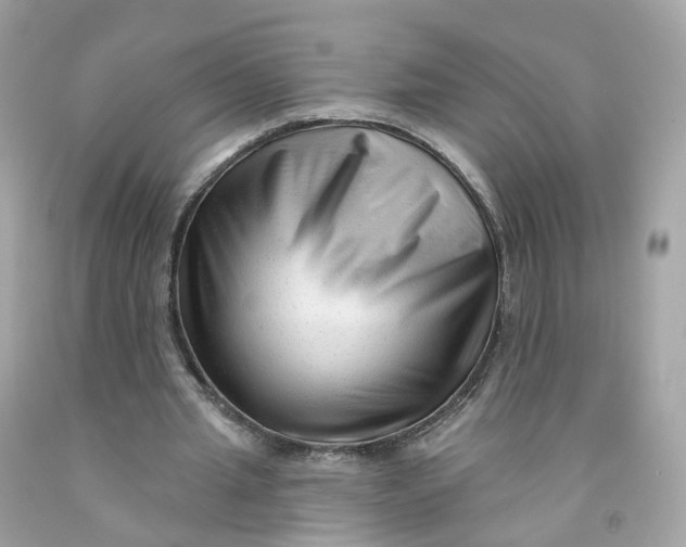 X0000091470437200709061821