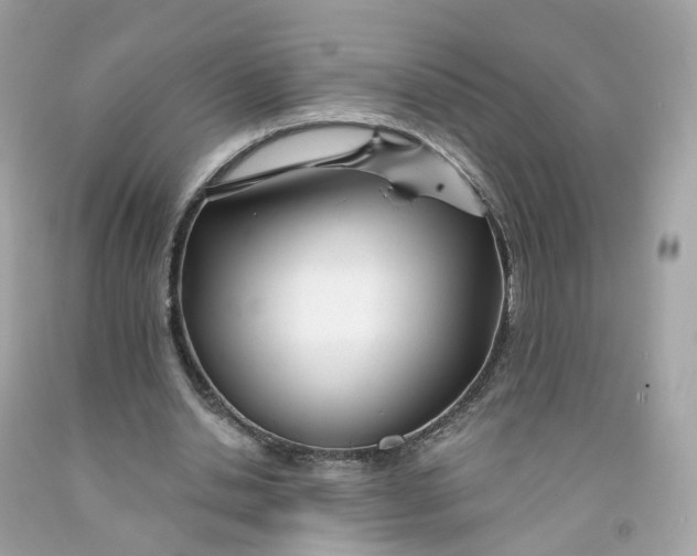 X0000091470438200709061821