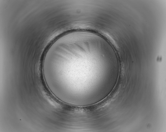 X0000091470439200709061821