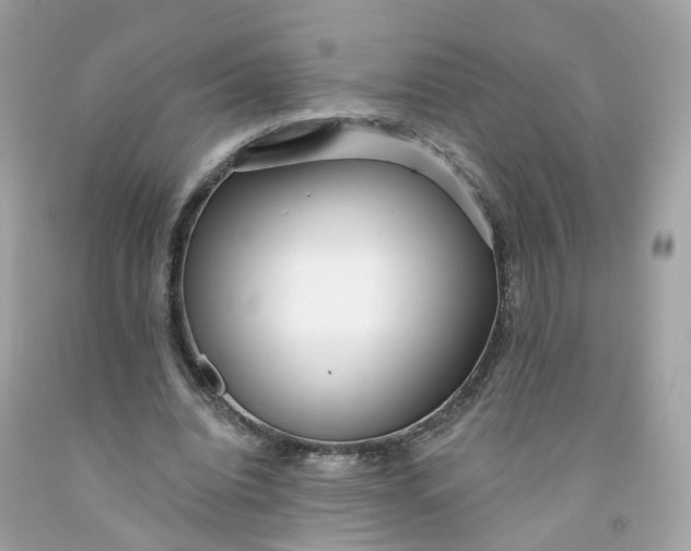 X0000091470440200709061821