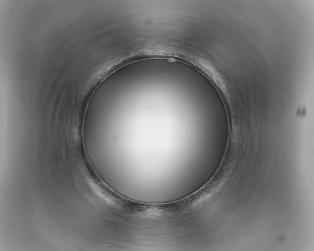 X0000091470441200709061821