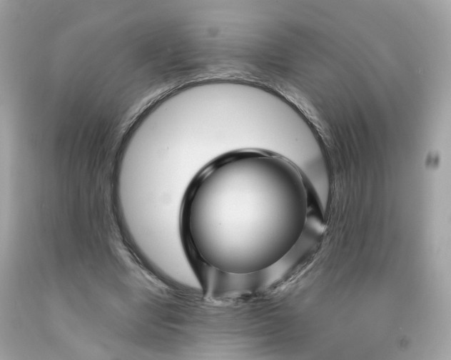 X0000091470442200709061821