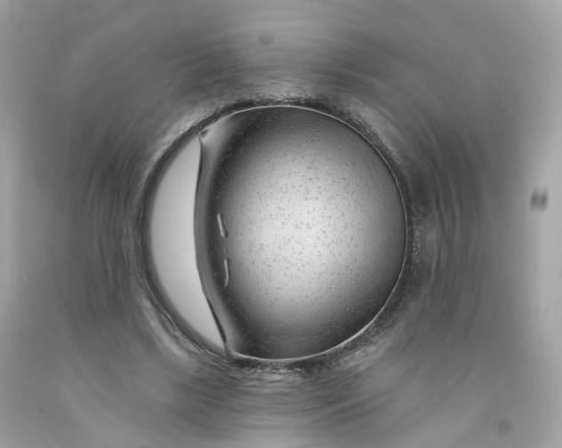 X0000091470443200709061821