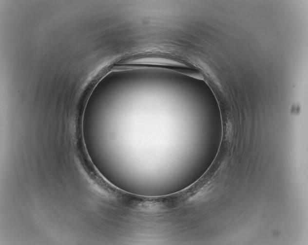 X0000091470444200709061821