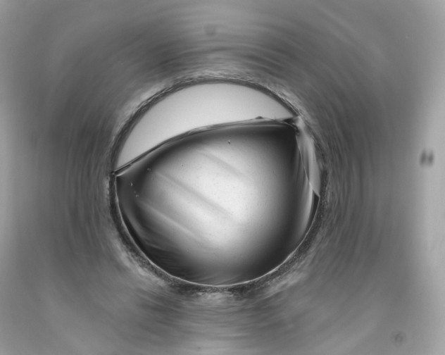 X0000091470446200709061821