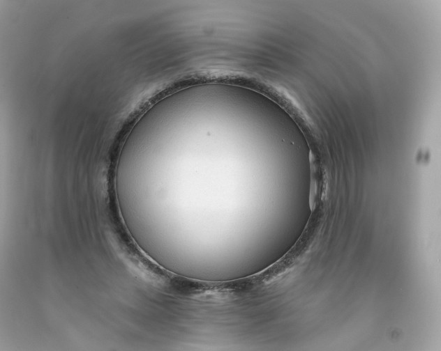 X0000091470447200709061821