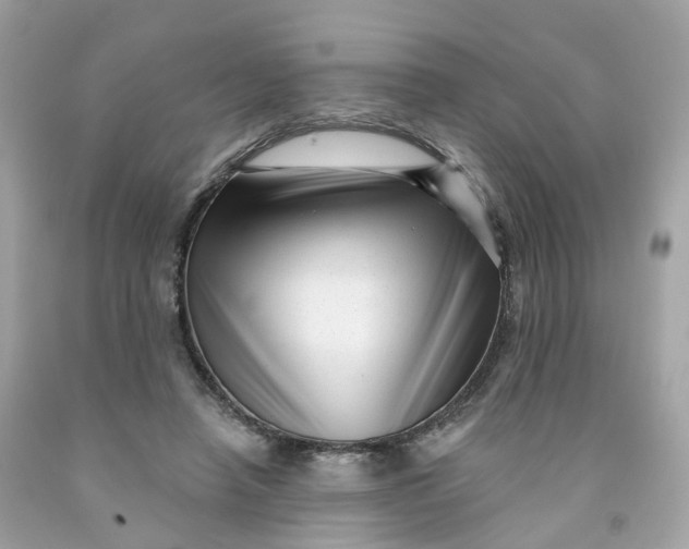 X0000091470450200709061822