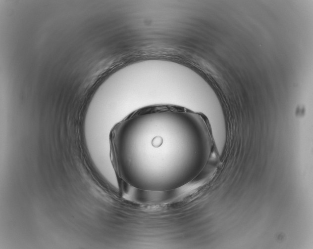 X0000091470452200709061822