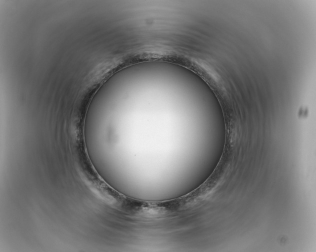 X0000091470455200709061822