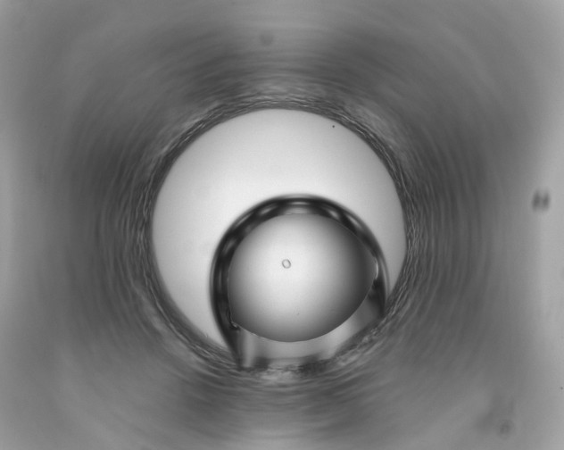 X0000091470456200709061822