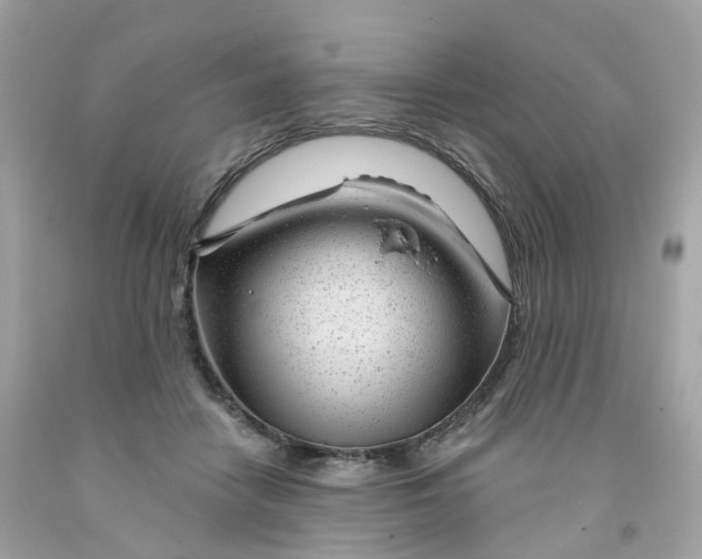 X0000091470458200709061822