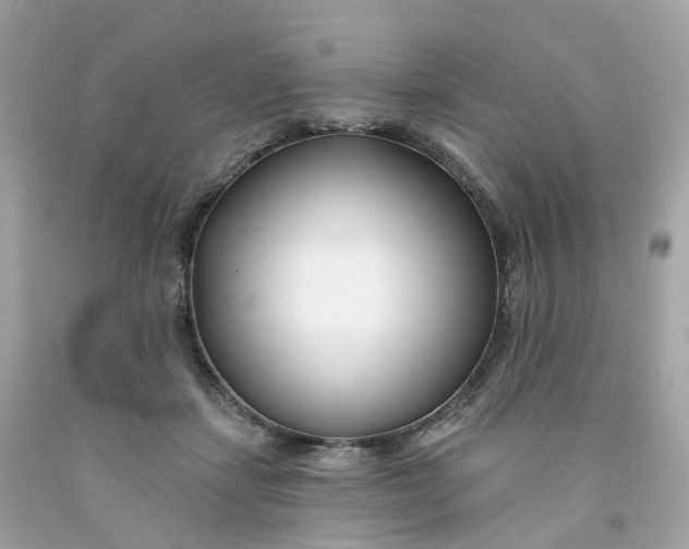 X0000091470459200709061822