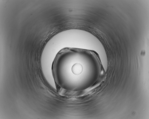 X0000091470460200709061822