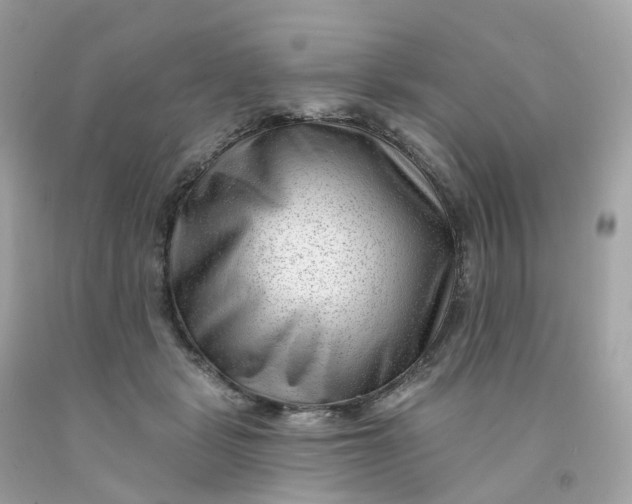 X0000091470461200709061822