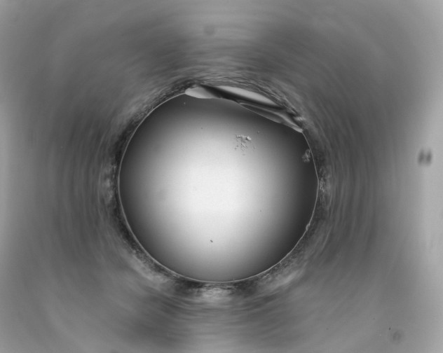 X0000091470462200709061822