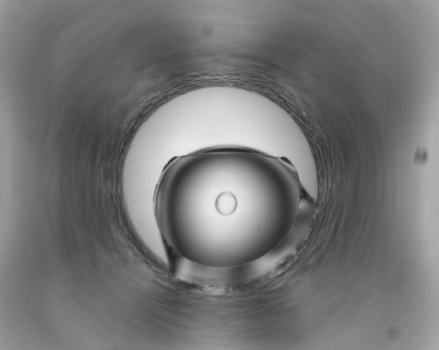 X0000091470464200709061822