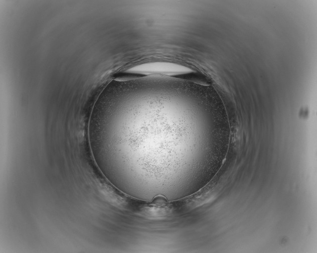 X0000091470466200709061822