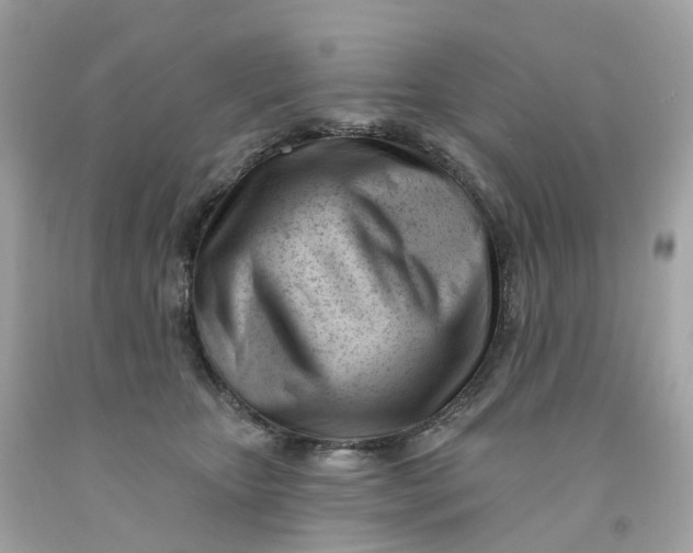 X0000091470467200709061822