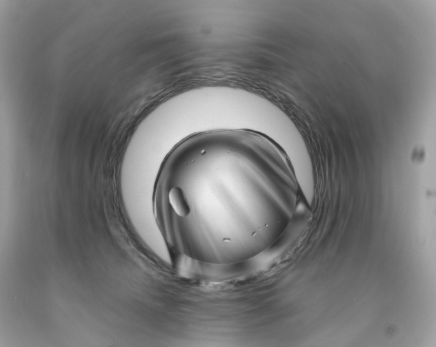 X0000091470468200709061822