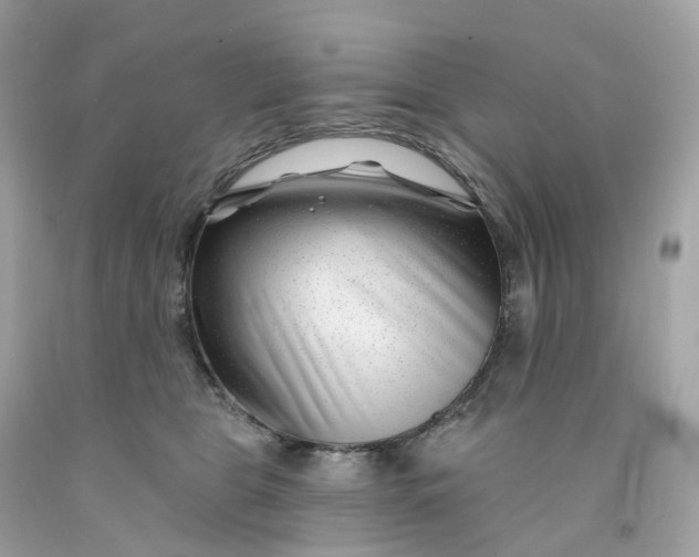 X0000091470469200709061822