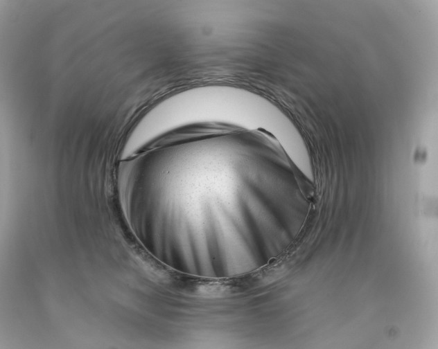 X0000091470470200709061822