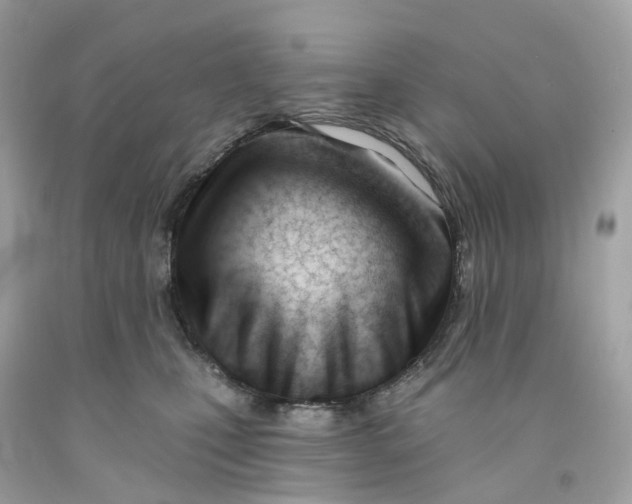 X0000091470471200709061822