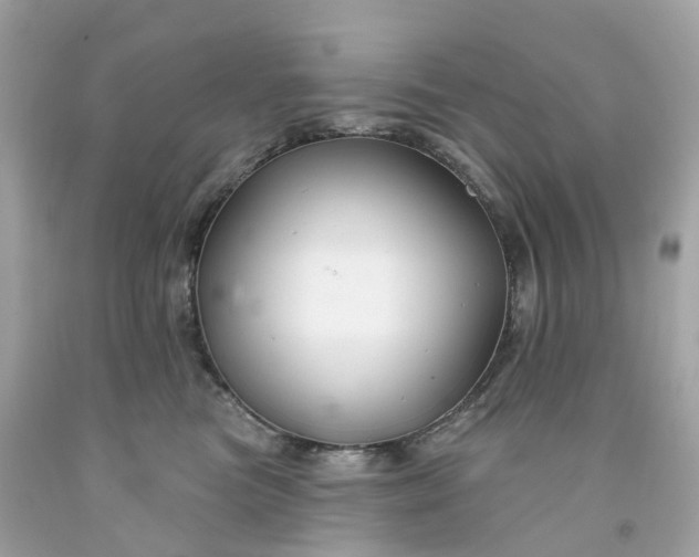 X0000091470473200709061822