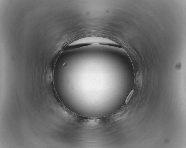 X0000091470474200709061822