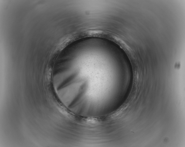 X0000091470475200709061822