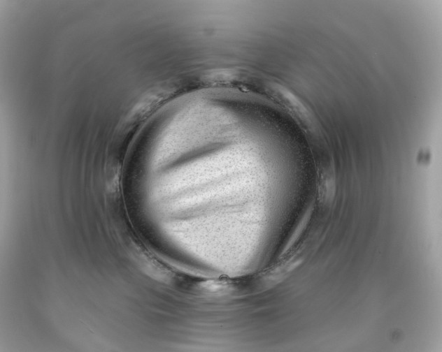 X0000091470477200709061822