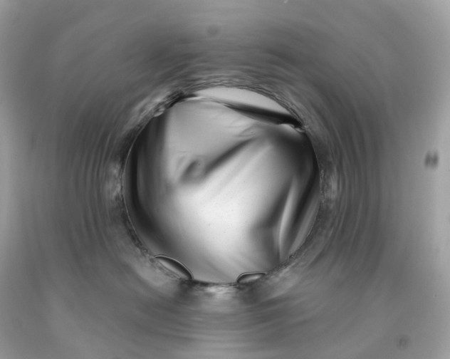 X0000091470478200709061822